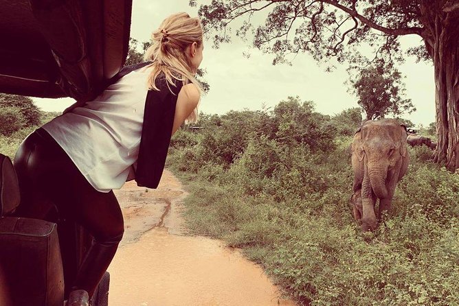 Udawalawe National Park Safari | From Mirissa | Galle | Weligama - Why Udawalawe is a strong choice from Sri Lanka’s south coast