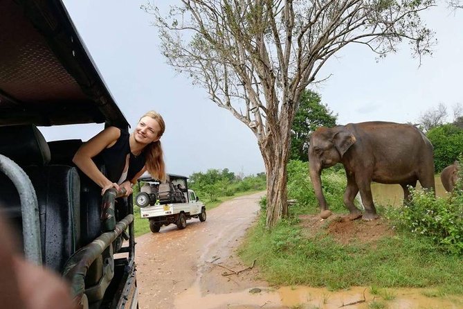 Udawalawe National Park Safari | From Mirissa | Galle | Weligama - Entering Udawalawe National Park for three hours