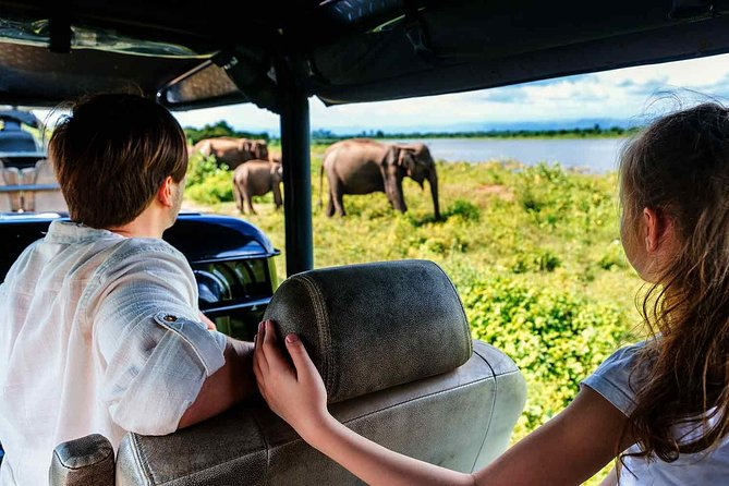 Udawalawe National Park Safari with Elephant Transit Home Visit - Is $24 good value?