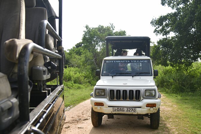 Udawalawe National Park Wildlife Safari Tours - Conservation and respectful wildlife watching