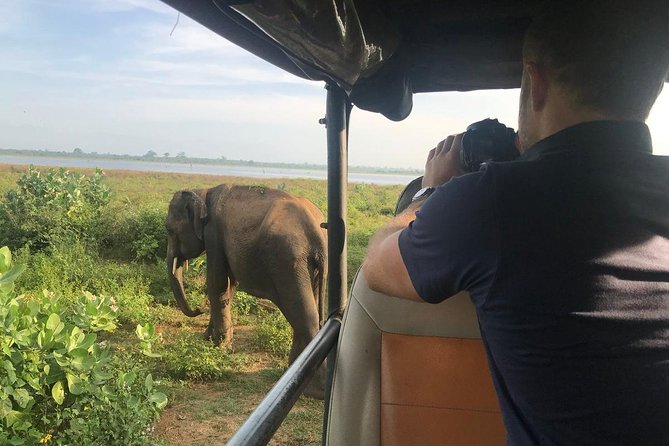 Udawalawe National park with Elephant Transit Home From Colombo - The Elephant Transit Home in 45 minutes