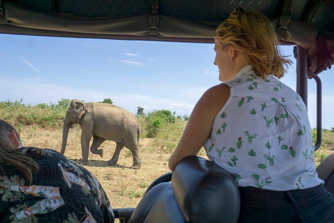 Udawalawe National park with Elephant Transit Home From Colombo - Who will get the most from this tour