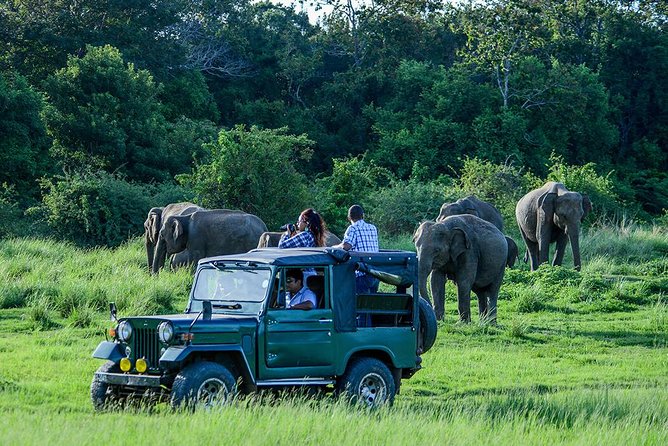 Udawalawe Private Safari frm Hambantota Port by BTM-All Inclusive - Key points to know