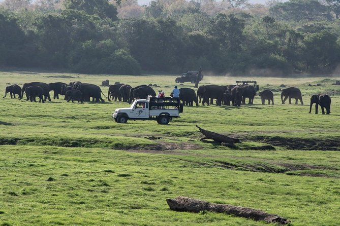 Udawalawe Private Safari frm Hambantota Port by BTM-All Inclusive - Entering Udawalawe National Park