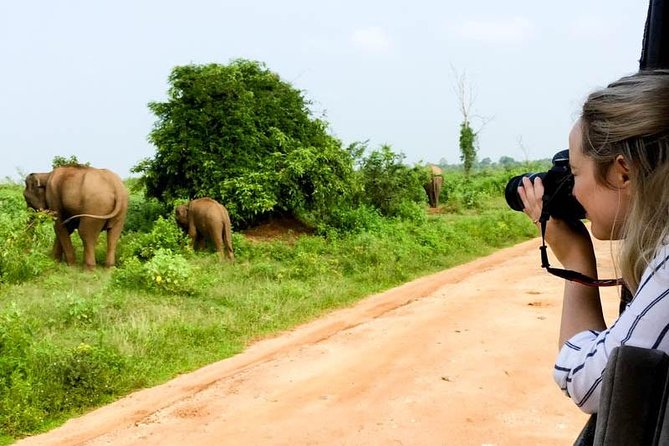 Udawalawe Private Safari frm Hambantota Port by BTM-All Inclusive - Comfort, safety, and practical limits
