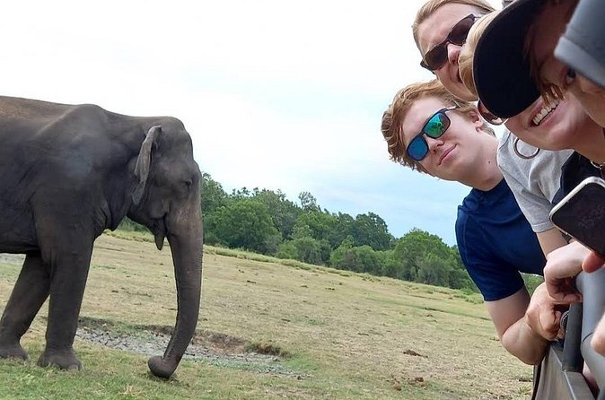 Udawalawe Safari Adventure - What the $18 price really means