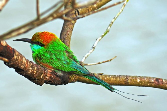 Udawalawe Safari Day Trip with Return Transport - All Inclusive - Booking, Weather, and Cancellation Details