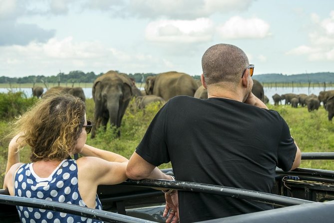 Udawalawe Safari Day Trip with Return Transport - All Inclusive - Three Hours Inside Udawalawe National Park
