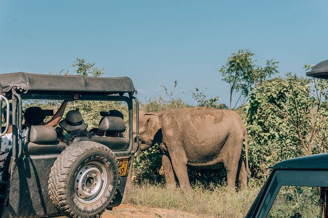 Udawalawe Safari & Elephant Transit Home Visit with Lunch from Hambantota Harbor - What is included, and what may still cost extra