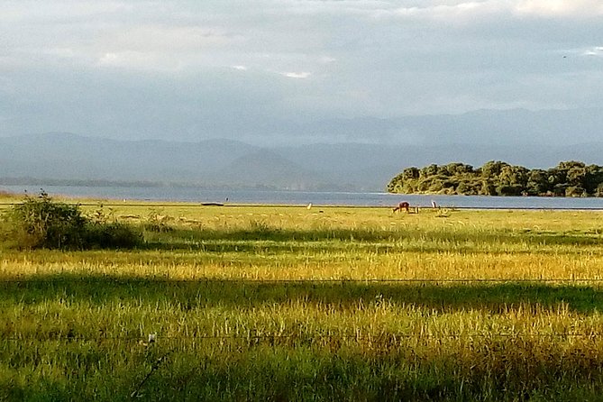 Udawalawe Safari - Private & Customize Tour - The 8:00 am start and the long road inland