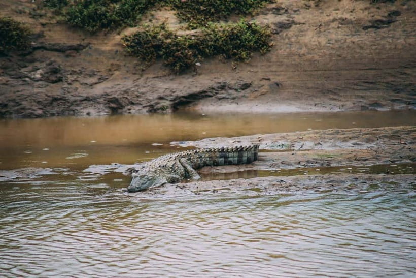 Udawalawe Safari Private Day Trip with Lunch - All Inclusive - FAQ