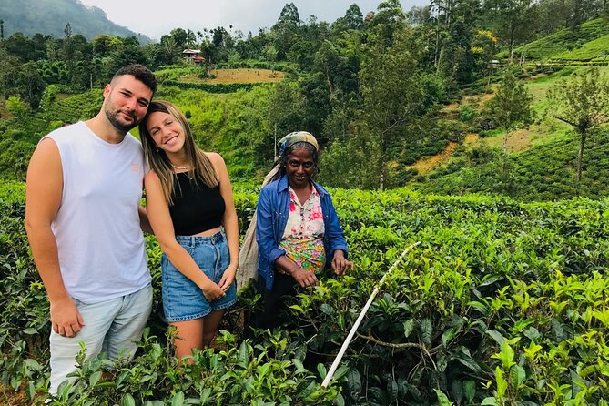 Ultimate 8-Day Sri Lanka Adventure: Private Guided Tour - What makes this Sri Lanka tour worth considering