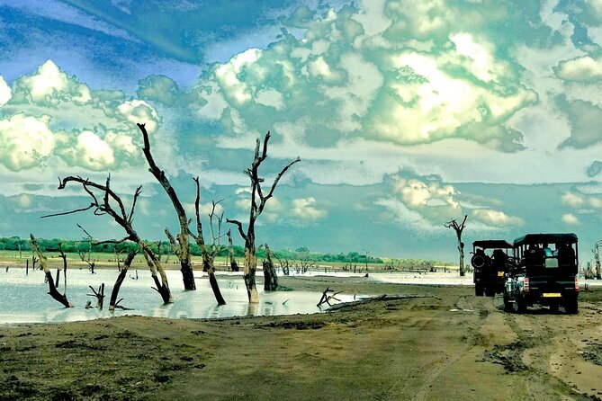 Ultimate 8-Day Sri Lanka Adventure: Private Guided Tour - Day 1: Elephants, crafts, and an Ayurvedic pause