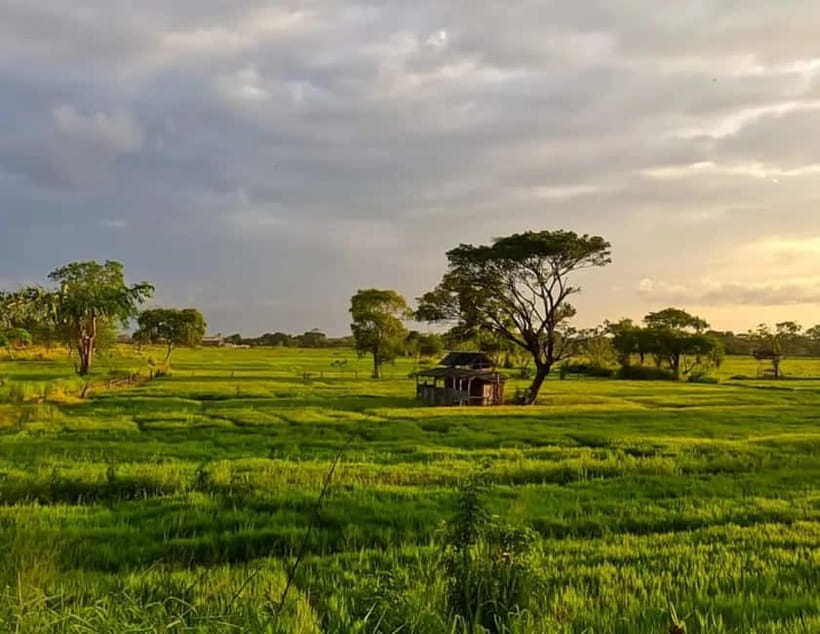 Unseen Sigiriya: Village & Rock Viewpoints by Tuk Tuk - What the guide adds to a simple ride