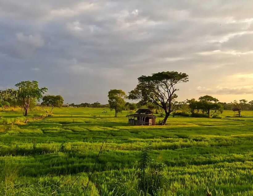 Unseen Sigiriya: Village & Rock Viewpoints by Tuk Tuk - The main drawbacks to weigh