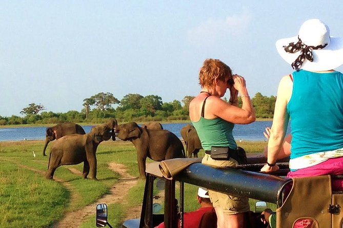 VALUE PACK! One Day Safari Tour to Yala and Udawalawa Parks - The three-hour Udawalawe safari