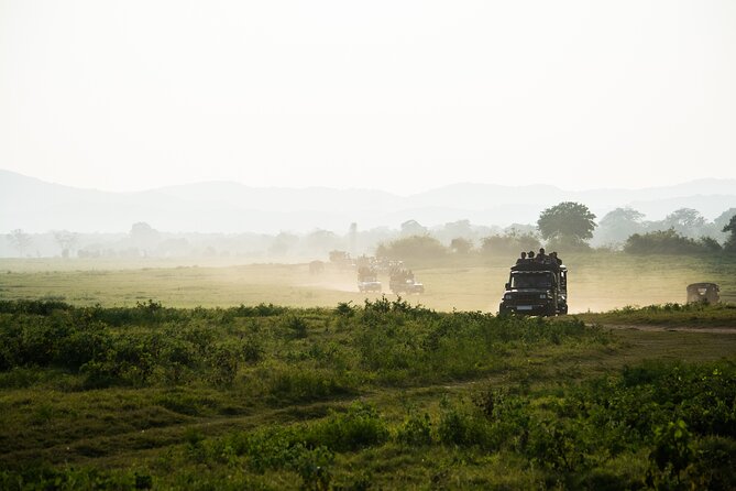 VALUE PACK! One Day Safari Tour to Yala and Udawalawa Parks - The Elephant Transit Home stop