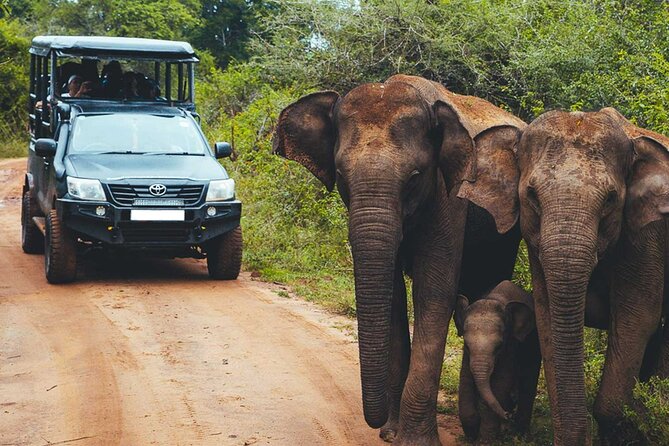VALUE PACK! One Day Safari Tour to Yala and Udawalawa Parks - Lunch, water, and the vehicle setup