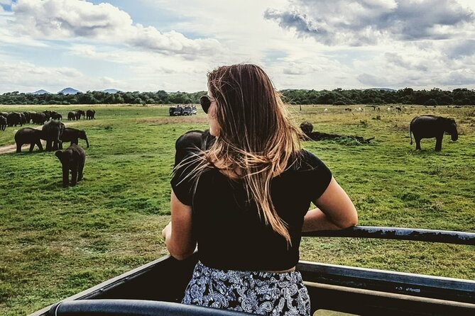 VALUE PACK! One Day Safari Tour to Yala and Udawalawa Parks - Is $100 a fair price?