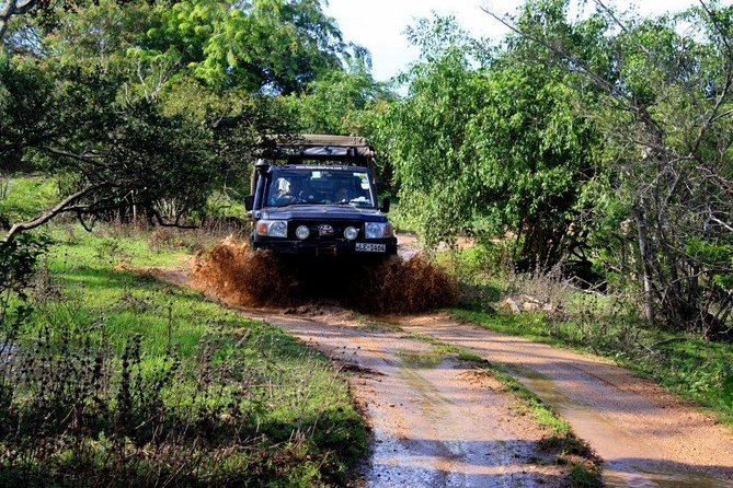 VALUE PACK! One Day Safari Tour to Yala and Udawalawa Parks - Who will enjoy this day most?