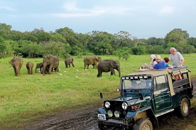 Wasgamuwa National Park Entrance Ticket with Private Safari - Timing, flexibility, and the limits of a short safari