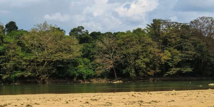 Wasgamuwa: Wasgamuwa National Park Private 3-Hour Safari - Elephant country, from distant sightings to family herds