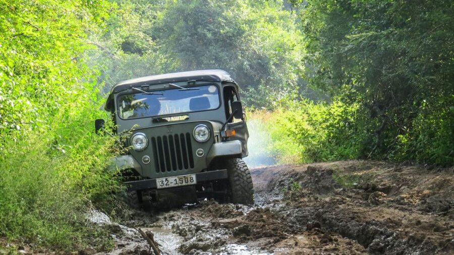 Wasgamuwa: Wasgamuwa National Park Private 3-Hour Safari - Morning or afternoon: choosing your three-hour slot