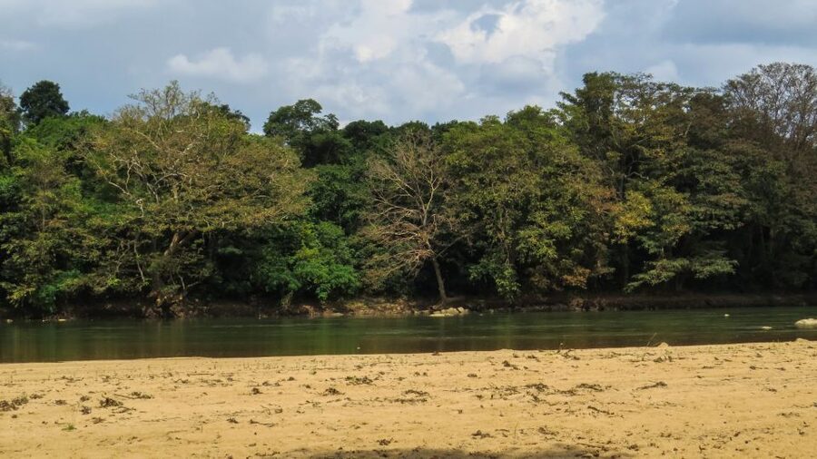 Wasgamuwa: Wasgamuwa National Park Private 3-Hour Safari - What the $27 price really covers