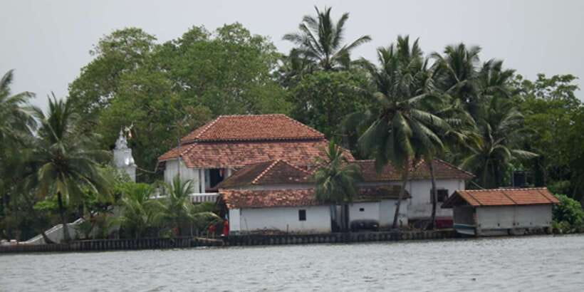 West coast Beach, River Mangroves lagoon, Wildlife boat Tour - Taking the slow route through Madu Ganga