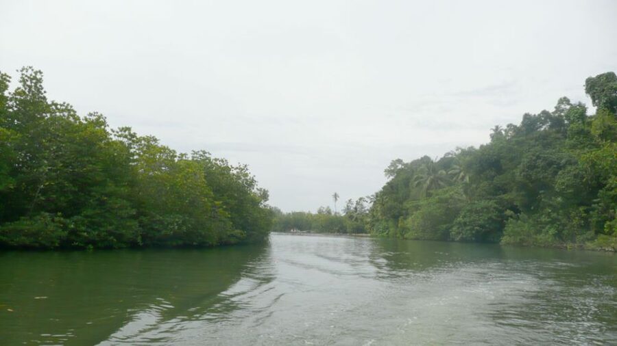 West coast Beach, River Mangroves lagoon, Wildlife boat Tour - Is $90 a fair price?
