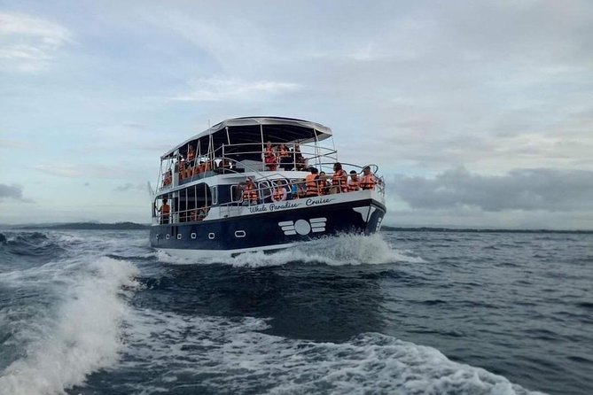 Whale Watching Experience in Mirissa - Leaving Mirissa Beach at 6:00 a.m.