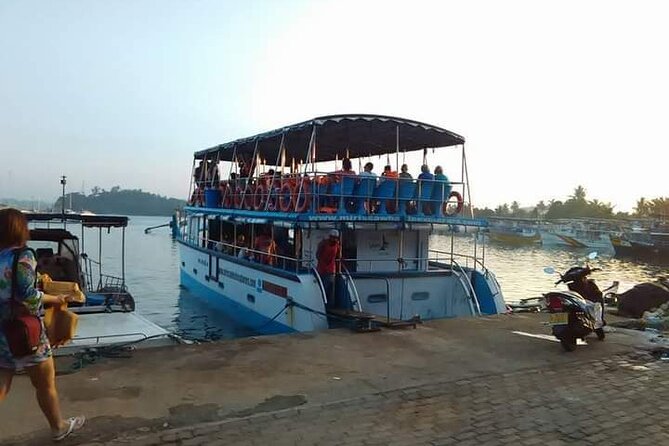 Whale Watching Experience in Mirissa - Dolphins, turtles, and flying fish add variety