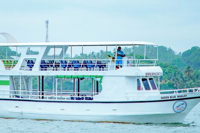 Whale Watching Mirissa Ultimate Tour in Sri Lanka with Breakfast - Key points at a glance