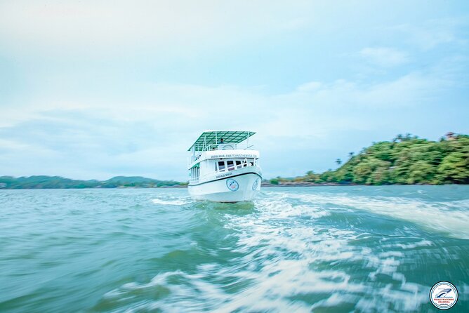 Whale Watching Mirissa Ultimate Tour in Sri Lanka with Breakfast - A cruiser built for a three-hour search