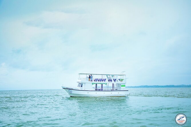 Whale Watching Mirissa Ultimate Tour in Sri Lanka with Breakfast - Responsible whale watching and local knowledge