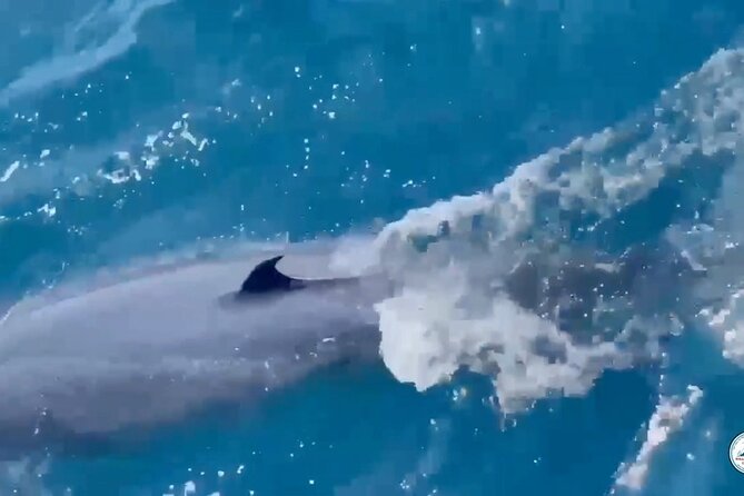 Whale Watching Mirissa Ultimate Tour in Sri Lanka with Breakfast - Breakfast, fruit, and the human side of the trip