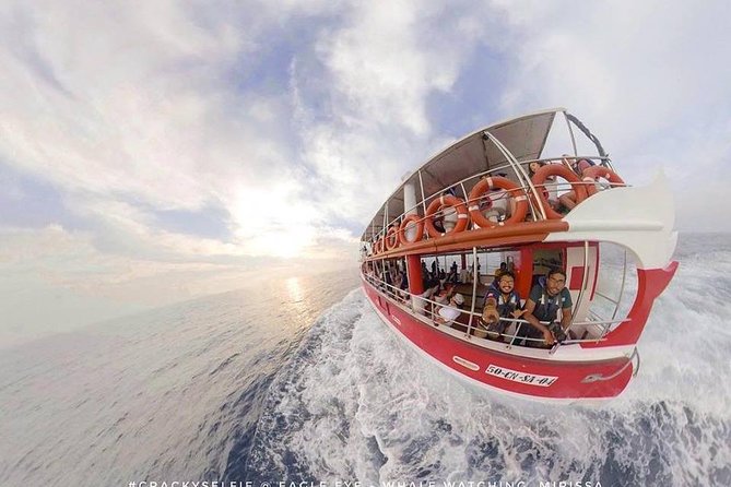 Whale Watching Mirissa with Eagle Eye - What a typical morning feels like