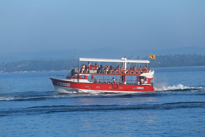 Whale Watching Mirissa with Eagle Eye - Is $70 fair for the experience?