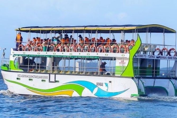 Whales and Dolphins Watching-Luxury Super Grade Cruiser(Hotel Pick up offered) - Leaving Mirissa Beach at 6:30 in the morning