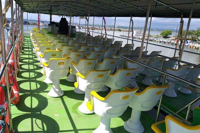 Whales & Dolphin Watching Day Tour including Handunugoda Teafactory - What to pack and how to judge the timing