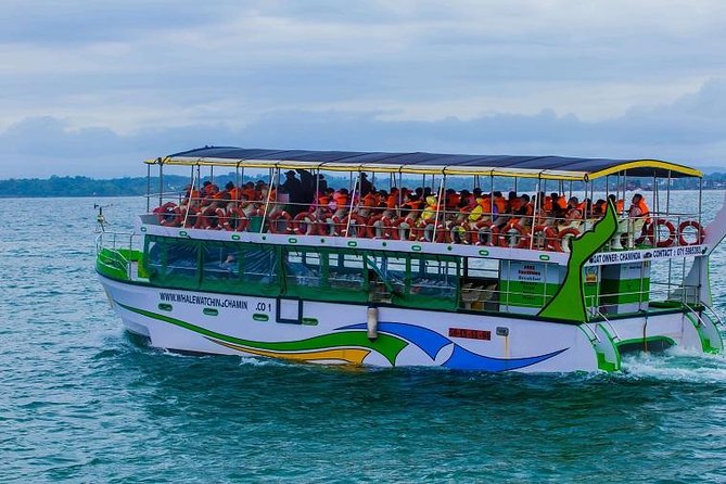 Whales & Dolphin Watching Day Tour including Handunugoda Teafactory - The four-hour Mirissa whale and dolphin cruise