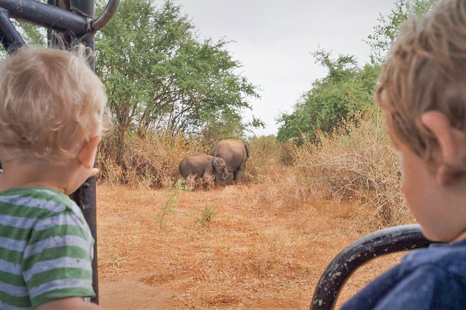 Wild Elephant Safari in Minneriya National Park - What the three-hour safari is like