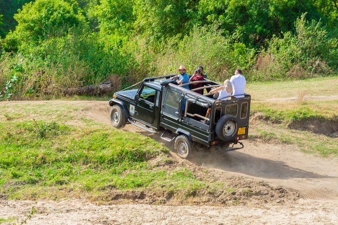 Wild Elephant Safari in Minneriya National Park - Elephants, the reservoir, and the seasonal gathering