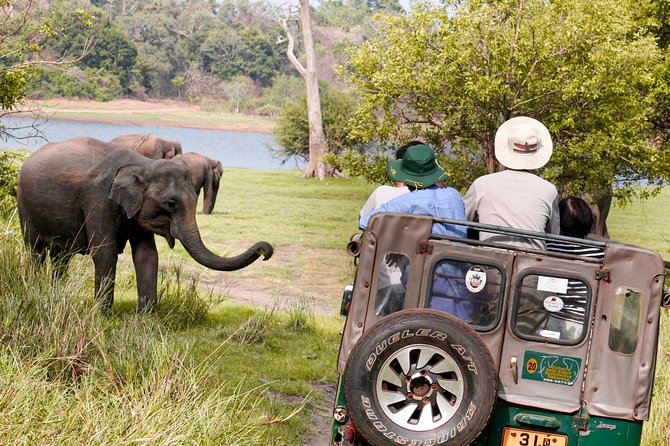 Wild Elephant Safari in Minneriya National Park - Getting to the gate and starting the drive