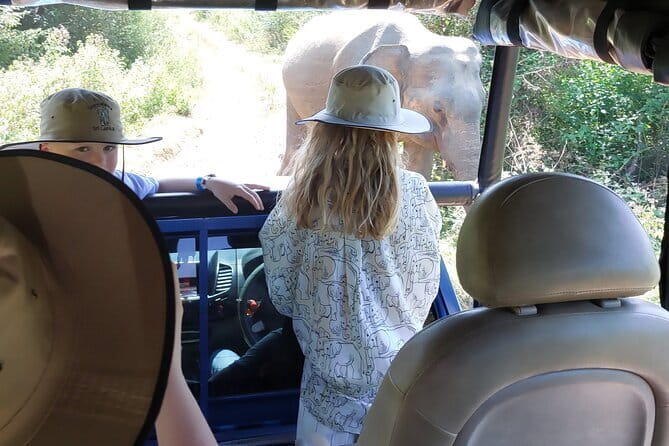 Wildlife Safari Yala National park - Why this Hambantota safari is worth considering