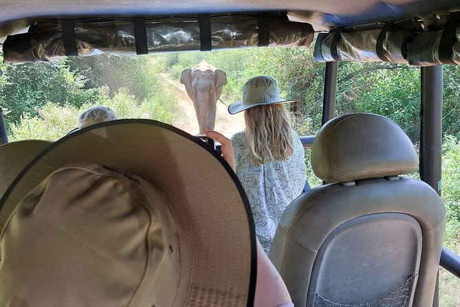 Wildlife Safari Yala National park - Why a group of six is a real advantage