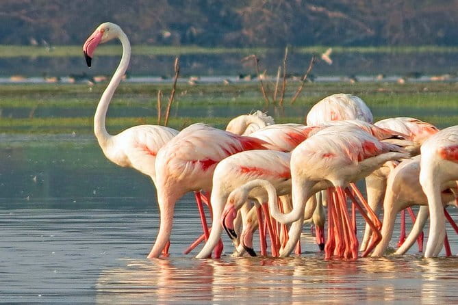 Wildlife Safari Yala National park - What the $160 price means