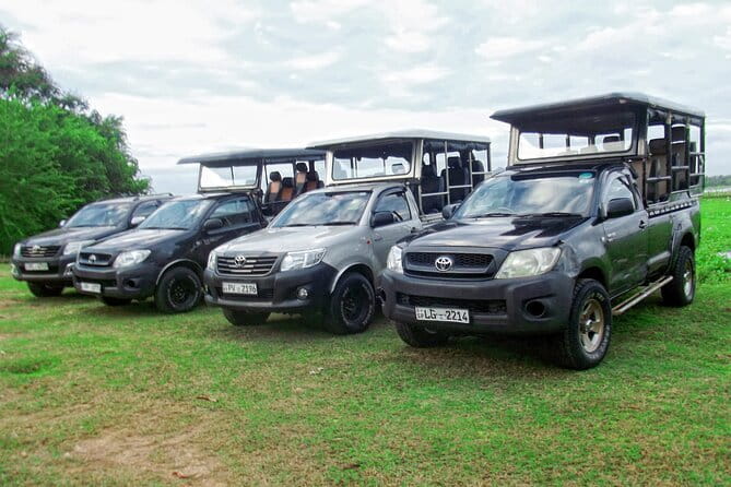 Wildlife Safari Yala National park - The guide is the most important part