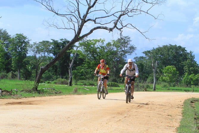 Wilpattu Half Day Safari From Anuradhapura - Searching for Wilpattu’s leopards