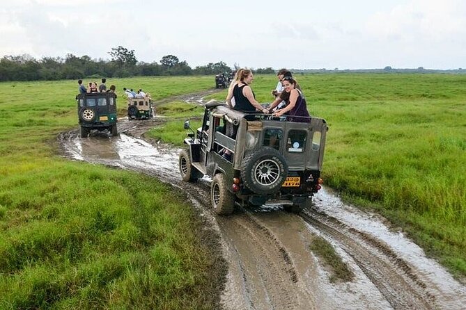 Wilpattu National Park Jeep Safari from Negombo / Waikkal (All Inclusive) - What you might see in a full day